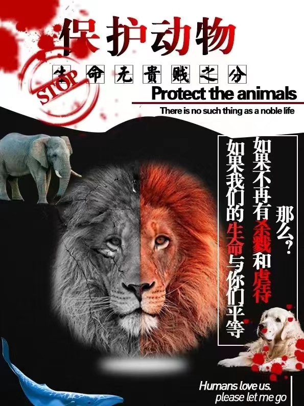 海报设计《保护动物》.jpg
